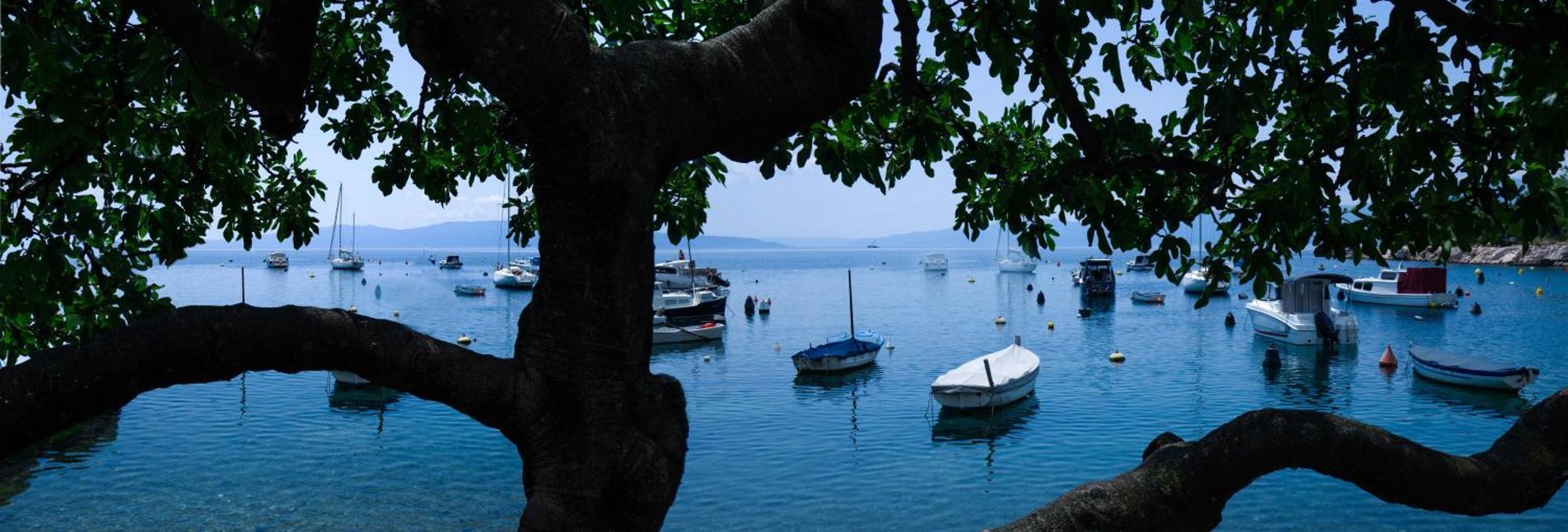 Relax With Parking *